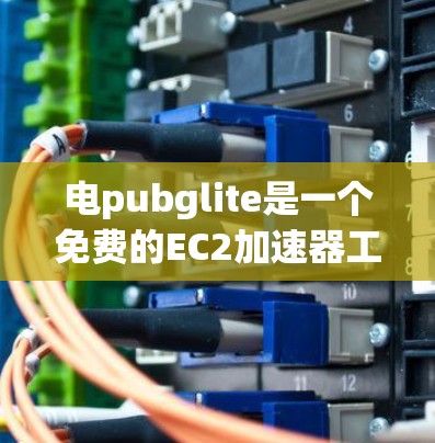 电pubglite是一个免费的EC2加速器工具，旨在帮助用户在AWS上运行更高效的应用程序。以下是对电pubglite的详细分析和建议