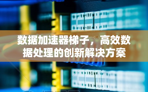 数据加速器梯子,高效数据处理的创新解决方案 数据加速器梯子,高效数据处理的创新解决方案