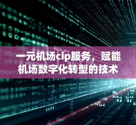 一元机场cip服务，赋能机场数字化转型的技术解决方案
