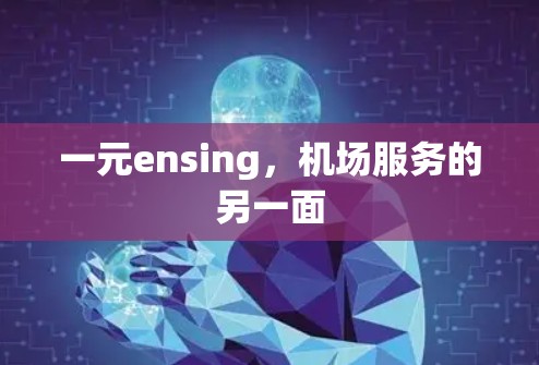 一元ensing，机场服务的另一面