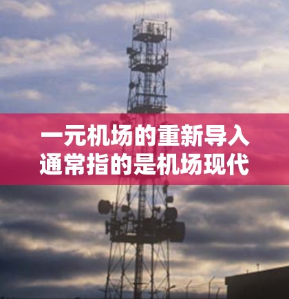 一元机场的重新导入通常指的是机场现代化过程中的一个关键步骤，旨在优化其基础设施和运营体验。以下是一元机场重新导入的常见内容和步骤