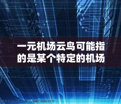 一元机场云鸟可能指的是某个特定的机场或服务，其中云鸟可能是云鸟服务的名称或一个特定的术语。以下是一些可能的解释