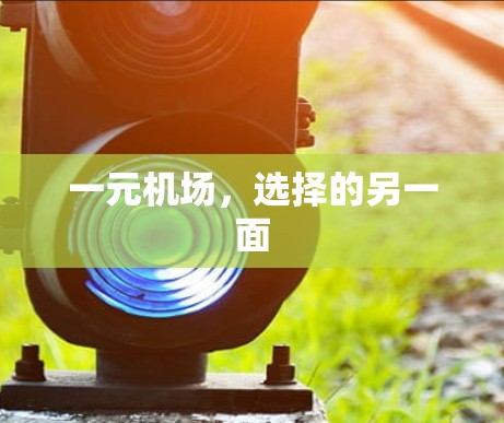 一元机场，选择的另一面
