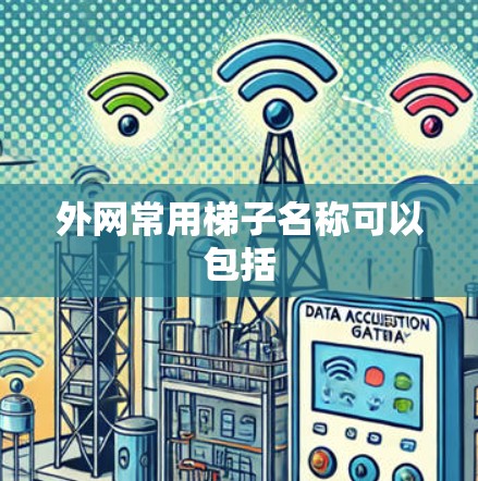 外网常用梯子名称可以包括