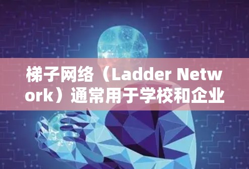 梯子网络（Ladder Network）通常用于学校和企业网络，由多个服务器和路由器组成。路由器是网络的核心设备，负责连接服务器和设备，并提供网络连接。以下是关于梯子网络路由器的一些步骤说明
