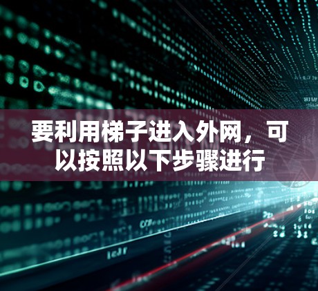 要利用梯子进入外网，可以按照以下步骤进行
