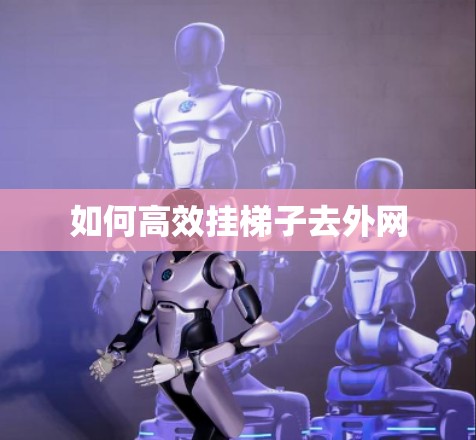 如何高效挂梯子去外网
