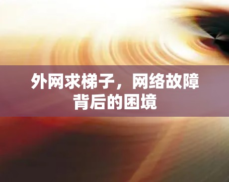 外网求梯子，网络故障背后的困境