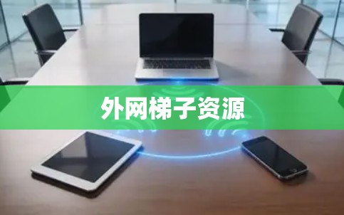 外网梯子资源