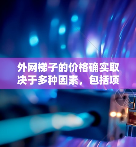 外网梯子的价格确实取决于多种因素，包括项目的规模、所需材料、工时以及交货周期。通常，购买外网梯子需要支付一定的费用，具体金额可以参考以下因素