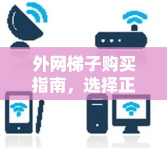 外网梯子购买指南，选择正确配置，节省费用与时间！