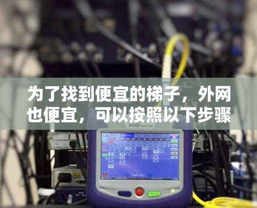 为了找到便宜的梯子，外网也便宜，可以按照以下步骤进行选择