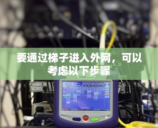 要通过梯子进入外网，可以考虑以下步骤