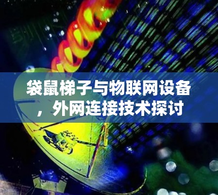 袋鼠梯子与物联网设备，外网连接技术探讨