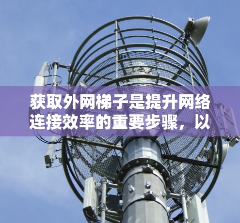 获取外网梯子是提升网络连接效率的重要步骤，以下是分步指南，帮助您顺利完成