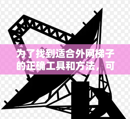 为了找到适合外网梯子的正确工具和方法，可以按照以下步骤进行
