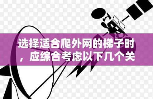 选择适合爬外网的梯子时,应综合考虑以下几个关键因素 选择适合爬外网的梯子时,应综合考虑以下几个关键因素