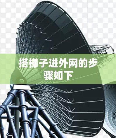 搭梯子进外网的步骤如下
