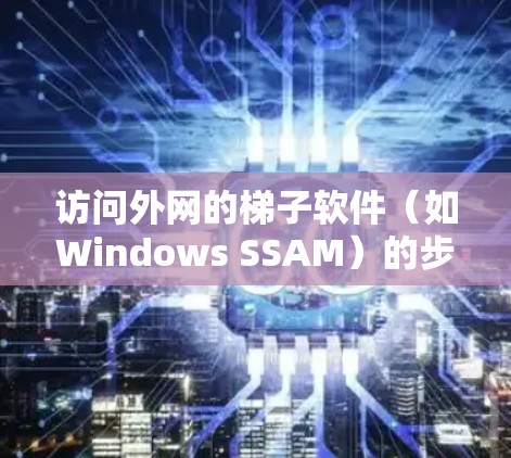 访问外网的梯子软件（如Windows SSAM）的步骤如下