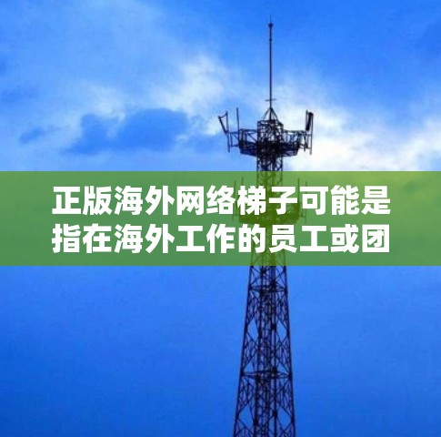 正版海外网络梯子可能是指在海外工作的员工或团队成员需要使用网络资源或工具时，寻求合法、合法合规的网络平台或解决方案。以下是一些可能的解释和建议