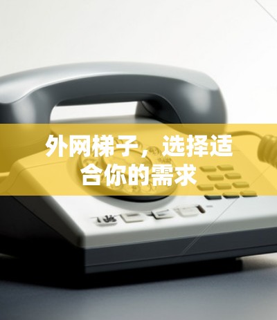 外网梯子，选择适合你的需求