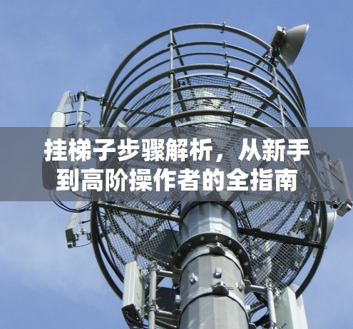 挂梯子步骤解析，从新手到高阶操作者的全指南