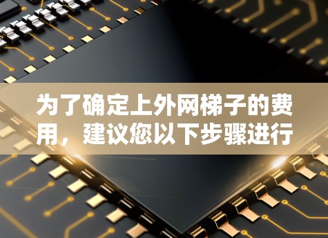 为了确定上外网梯子的费用，建议您以下步骤进行
