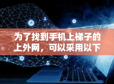 为了找到手机上梯子的上外网，可以采用以下步骤