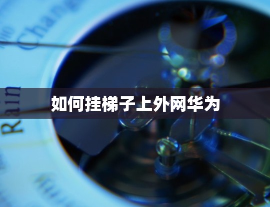 如何挂梯子上外网华为