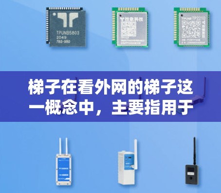 梯子在看外网的梯子这一概念中，主要指用于连接和监控网络设备的中间工具。具体来说，这些设备被称为梯子，帮助监控人员更好地管理和监控网络设备。以下是对此概念的详细说明
