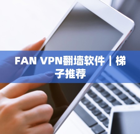 FAN VPN翻墙软件｜梯子推荐