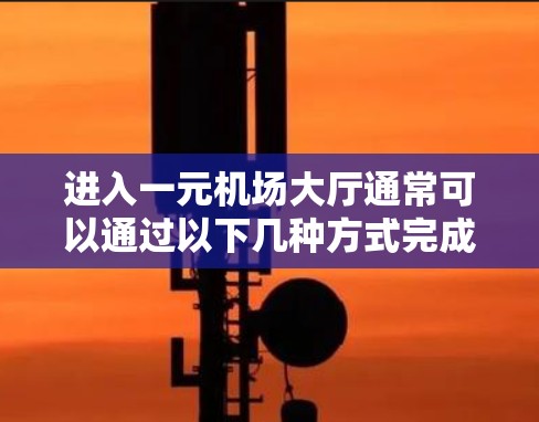 进入一元机场大厅通常可以通过以下几种方式完成