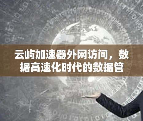 云屿加速器外网访问，数据高速化时代的数据管理与应用探索