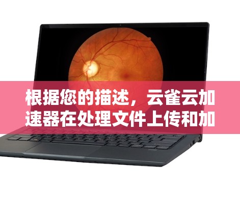 根据您的描述，云雀云加速器在处理文件上传和加载时表现出色，尽管您的电脑较为慢，但加速器依然能够顺利完成测试。以下是逐步的解决方案建议