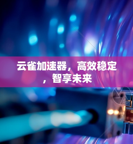 云雀加速器，高效稳定，智享未来