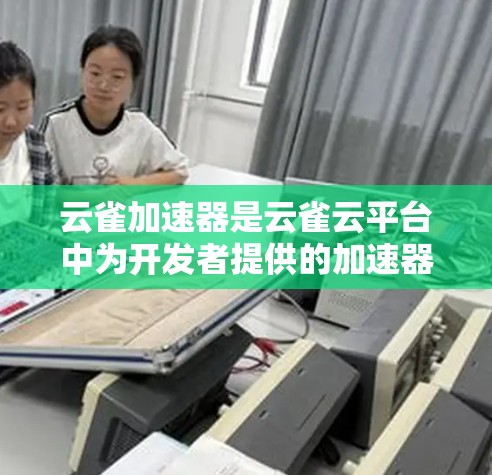 云雀加速器是云雀云平台中为开发者提供的加速器，用于提升应用运行速度，减少资源消耗。以下是关于云雀加速器节点的详细推荐