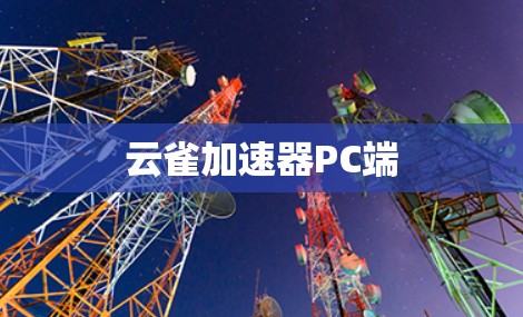 云雀加速器PC端