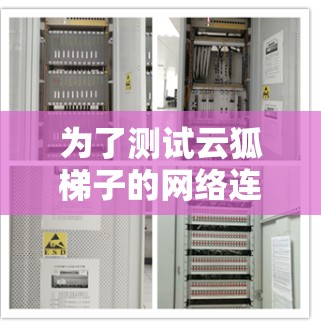 为了测试云狐梯子的网络连接速度，您可以按照以下步骤操作