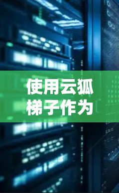 使用云狐梯子作为安卓客户端需要综合考虑多个因素，以下是一个结构化的评估