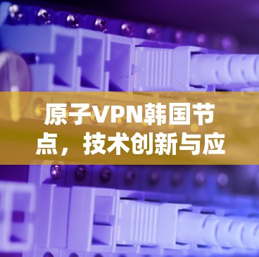 原子VPN韩国节点，技术创新与应用前景