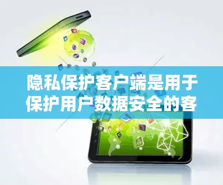 隐私保护客户端是用于保护用户数据安全的客户端，主要在互联网上服务。以下是对其结构、功能和应用的详细分析