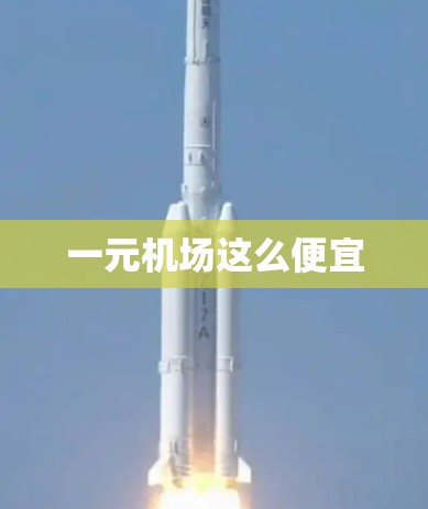 一元机场这么便宜