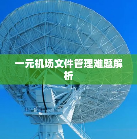 一元机场文件管理难题解析